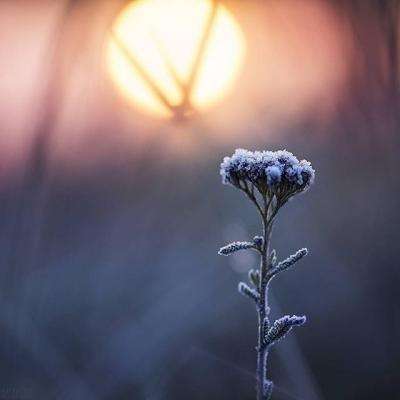 半岛(中国)体育